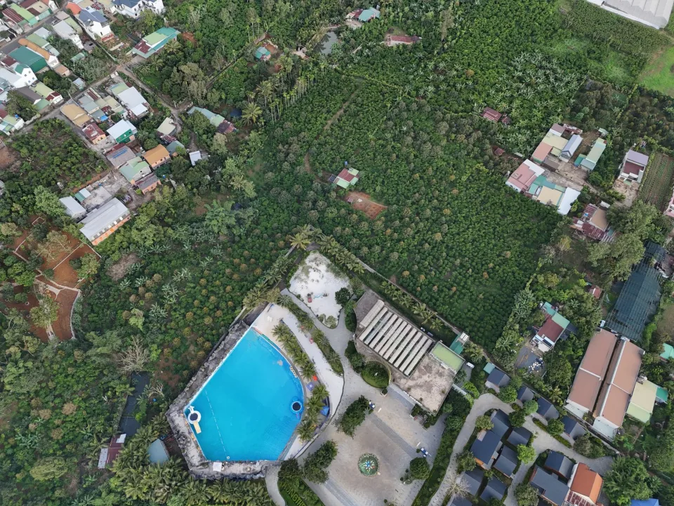 Tại Huỳnh Thị Lệ Thu